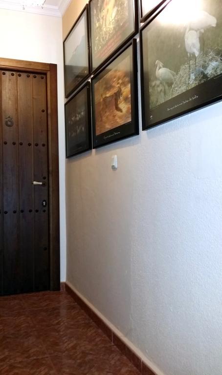 Castor Y Polux Daire El Gastor Dış mekan fotoğraf