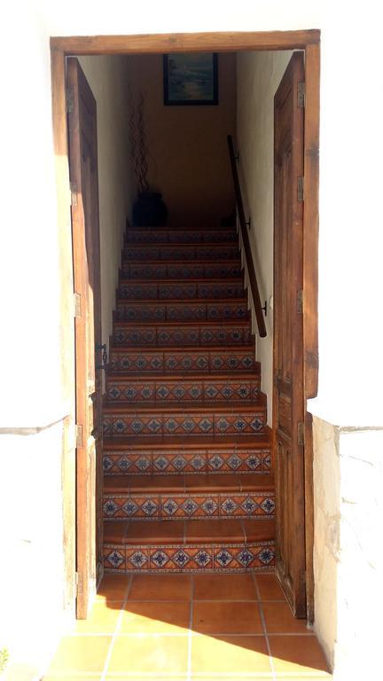Castor Y Polux Daire El Gastor Dış mekan fotoğraf